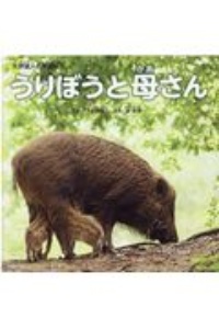 うりぼうと母さん 矢野誠人の写真絵本