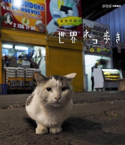 岩合光昭の世界ネコ歩き　チリ