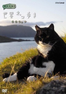 岩合光昭の世界ネコ歩き　ノルウェー