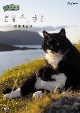 岩合光昭の世界ネコ歩き　ノルウェー