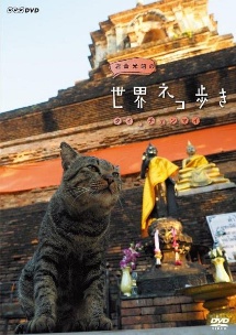 岩合光昭の世界ネコ歩き　タイ・チェンマイ