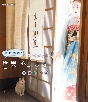 岩合光昭の世界ネコ歩き　京都の四季