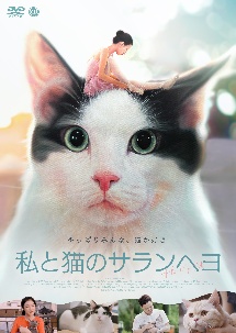 私と猫のサランヘヨ