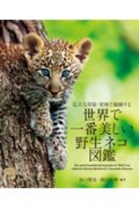 世界で一番美しい野生ネコ図鑑 広大な草原・密林で躍動する