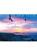 BIRD　ISLAND　TEURI