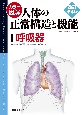 カラー図解　人体の正常構造と機能　呼吸器(1)