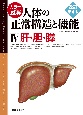 カラー図解　人体の正常構造と機能　肝・胆・膵(4)