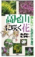 高尾山に咲く花