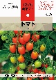 トマト　NHK趣味の園芸　12か月栽培ナビ16