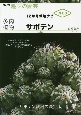 多肉植物　サボテン　NHK趣味の園芸　12か月栽培ナビNEO