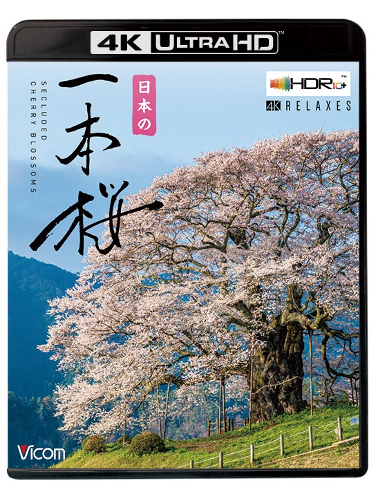 ビコム　4K　Relaxes（リラクシーズ）　日本の一本桜【4K・HDR】