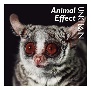 Animal　Effect