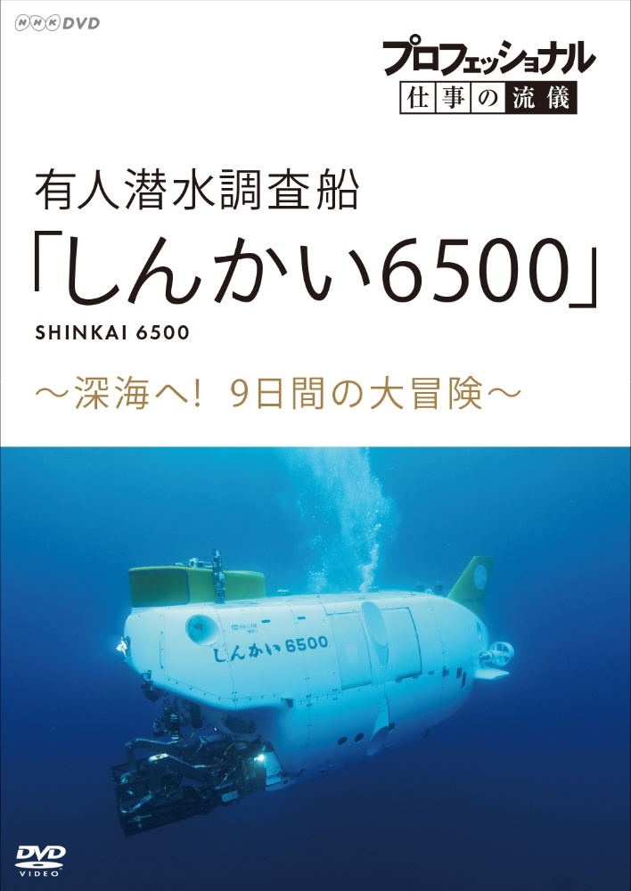 プロフェッショナル 仕事の流儀 棋士 羽生善治の仕事 直感は経験で磨く 映画の動画 Dvd Tsutaya ツタヤ