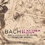 J．S．バッハ：マタイ受難曲　BWV244（2019年録音）(HYB)