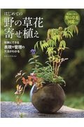 はじめての野の草花寄せ植え