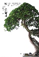 宮中の盆栽―大道庭園の四季　Bonsai　in　the　Imperial　Palace〜The　enchanting　four　seasons　of　the　Ohmichi　Garden