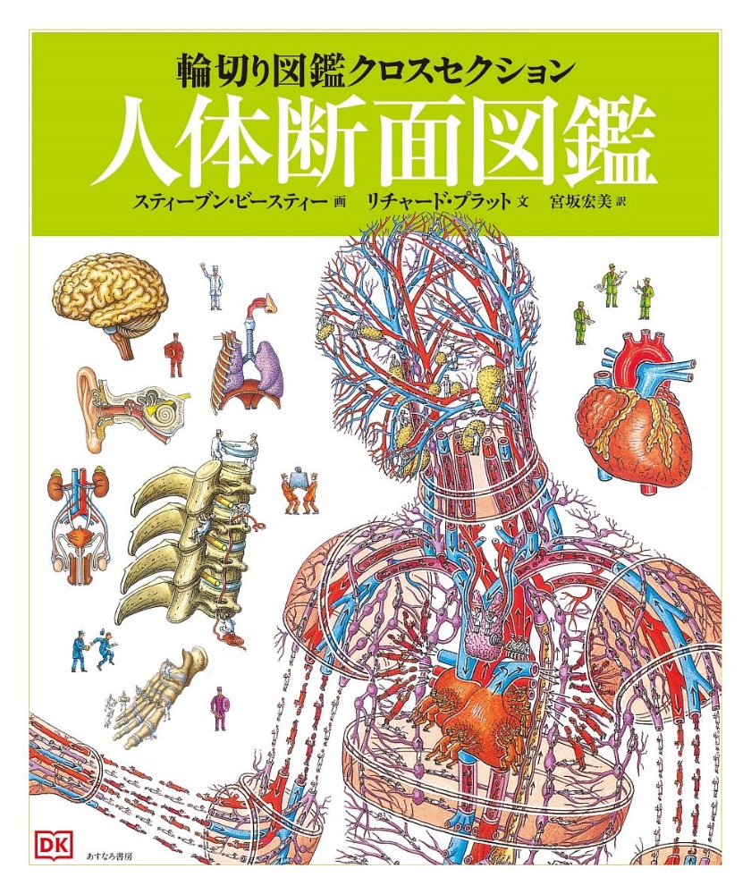 人体断面図鑑　輪切り図鑑クロスセクション３