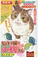 デラックスねこぱんち　キジトラ猫の小梅さん　2021