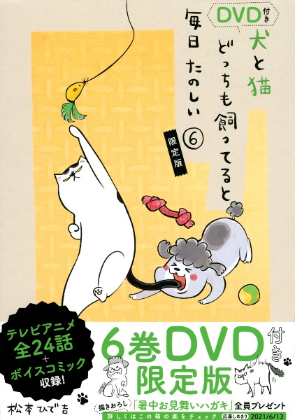 犬と猫どっちも飼ってると毎日たのしい<限定版> DVD付き（6）