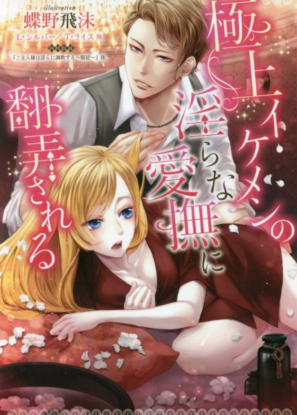 極上イケメンの淫らな愛撫に翻弄される