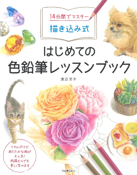 １４日間でマスター描き込み式はじめての色鉛筆レッスンブック