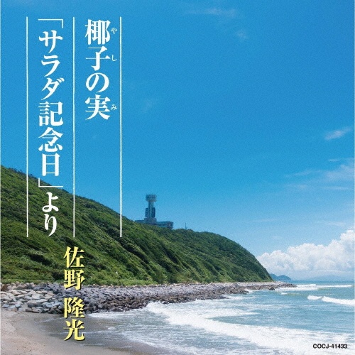 椰子の実／「サラダ記念日」より