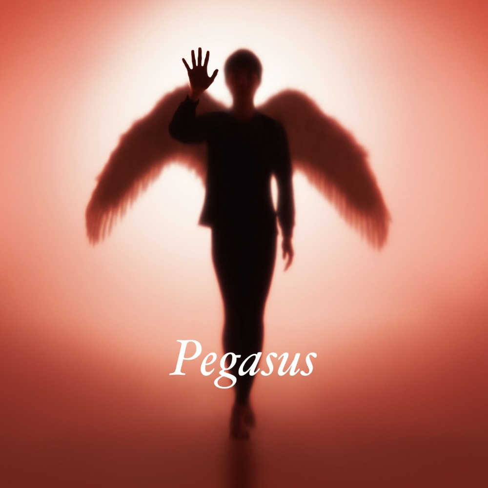 布袋寅泰『Pegasus』