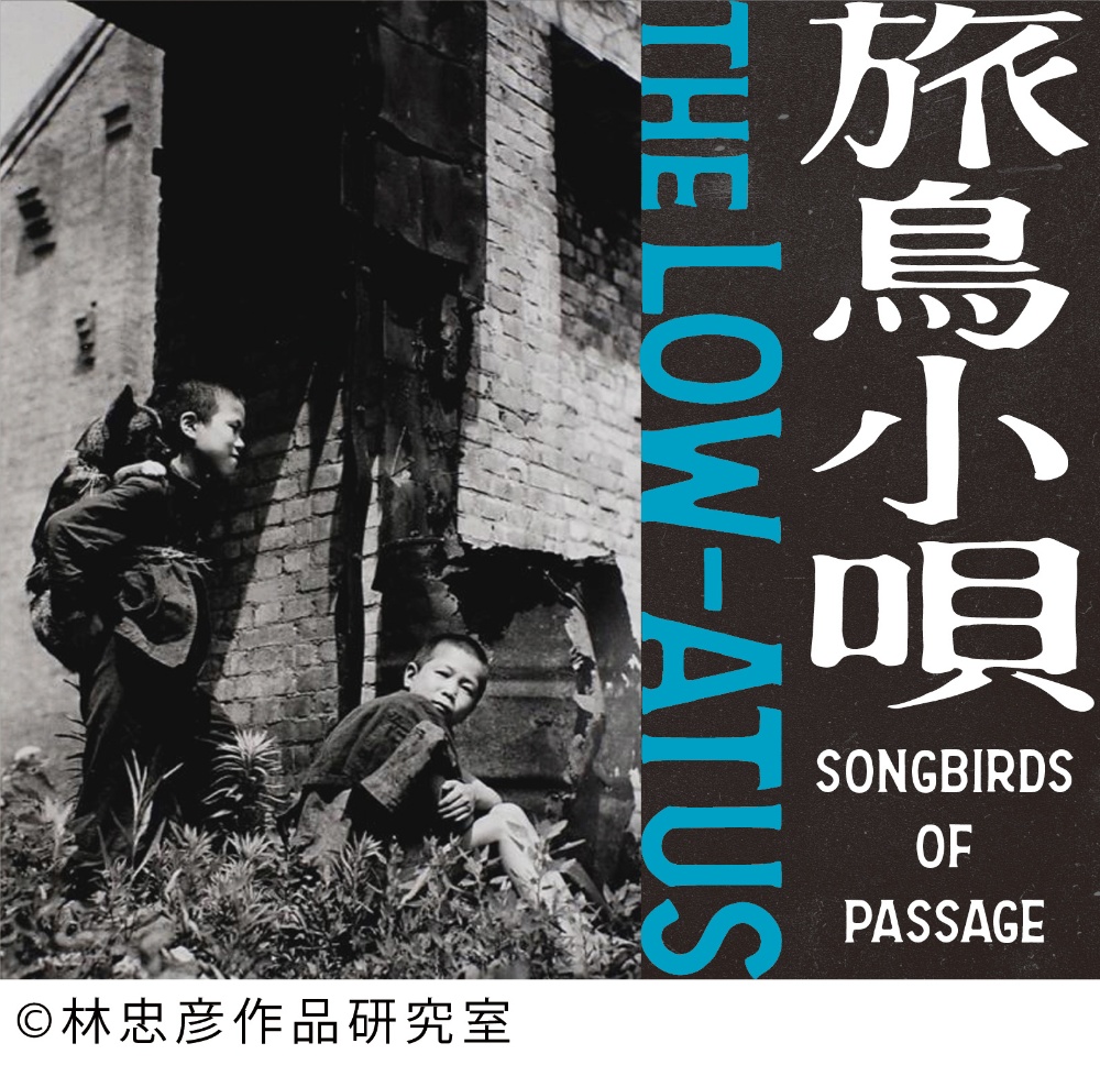 旅鳥小唄 -Songbirds of Passage-