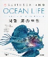OCEAN　LIFE図鑑海の生物