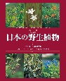 日本の野生植物　ソテツ科〜コミカンソウ科　フィールド版(1)