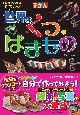 ずかん世界のくつ・はきもの　見ながら学習調べてなっとく