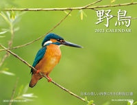 内山晟動物写真事務所 おすすめの新刊小説や漫画などの著書 写真集やカレンダー Tsutaya ツタヤ