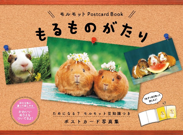 もるものがたり　モルモットＰｏｓｔｃａｒｄ　Ｂｏｏｋ