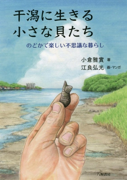 干潟に生きる小さな貝たち のどかで楽しい不思議な暮らし