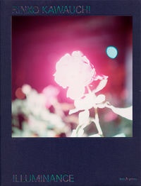 Illuminance The Tenth Anniversary Edition/川内倫子 - 販売書籍