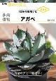 多肉植物　アガベ　NHK趣味の園芸　12か月栽培ナビNEO