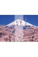 四季を彩る日本の花景色カレンダー　2022