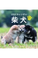 柴犬カレンダー　2022