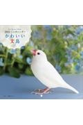 カレンダーかわいい文鳥 2022