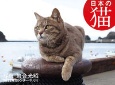 岩合光昭　日本の猫カレンダー
