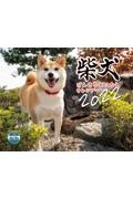 柴犬げんきな　おはなしカレンダー　２０２２