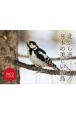北から南　日本の美しい野鳥カレンダー　2022