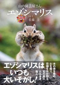 エゾシマリス　山の園芸屋さん