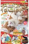 ねこぱんち　１５周年号