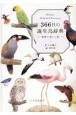 366日の誕生鳥辞典　世界の美しい鳥