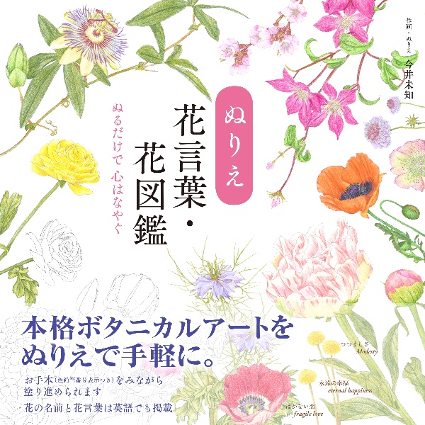 ぬりえ花言葉・花図鑑