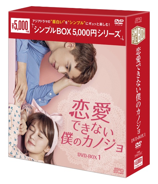 恋愛できない僕のカノジョ　DVD－BOX1（7枚組）　＜シンプルBOX　5，000円シリーズ＞