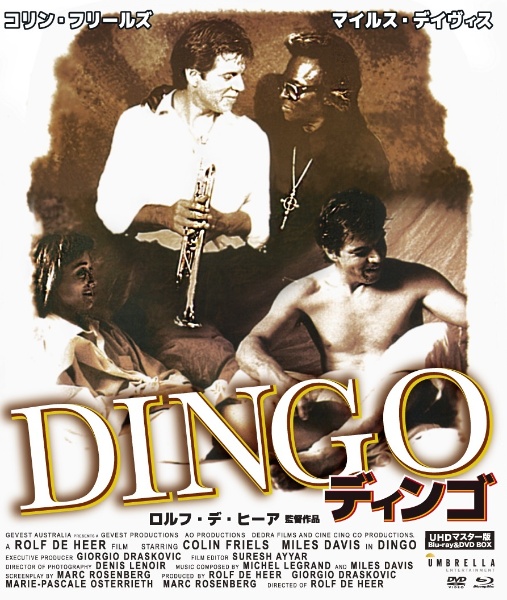 ディンゴ　UHDマスター版　blu－ray＆DVD　BOX