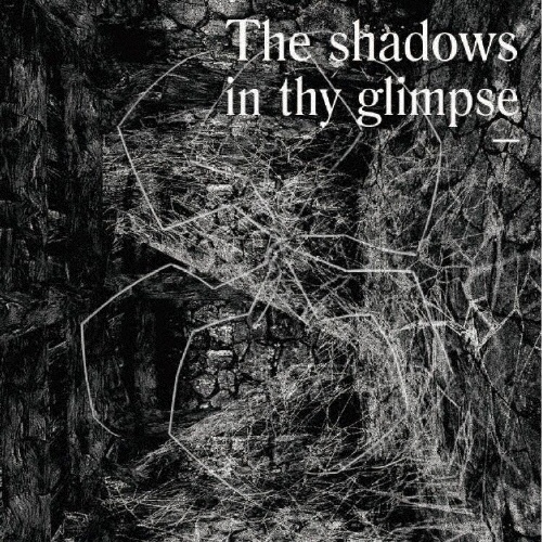 Ｔｈｅ　Ｓｈａｄｏｗｓ　Ｉｎ　Ｔｈｙ　Ｇｌｉｍｐｓｅ：　Ｂｅｄｏｕｉｎ　Ｒｅｃｏｒｄｓ　Ｓｅｌｅｃｔｅｄ　Ｄｉｓｃｏｇｒａｐｈｙ　２０１６－２０１８