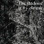 The　Shadows　In　Thy　Glimpse：　Bedouin　Records　Selected　Discography　2016－2018